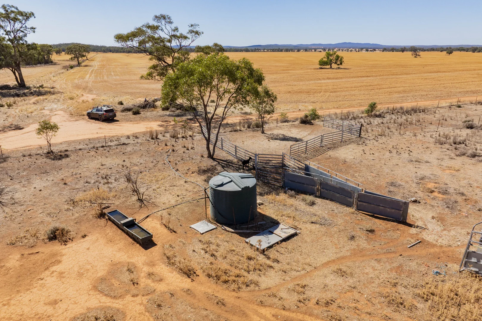 Additional image 15 of 2880 Tallebung Road, Condobolin NSW 2877