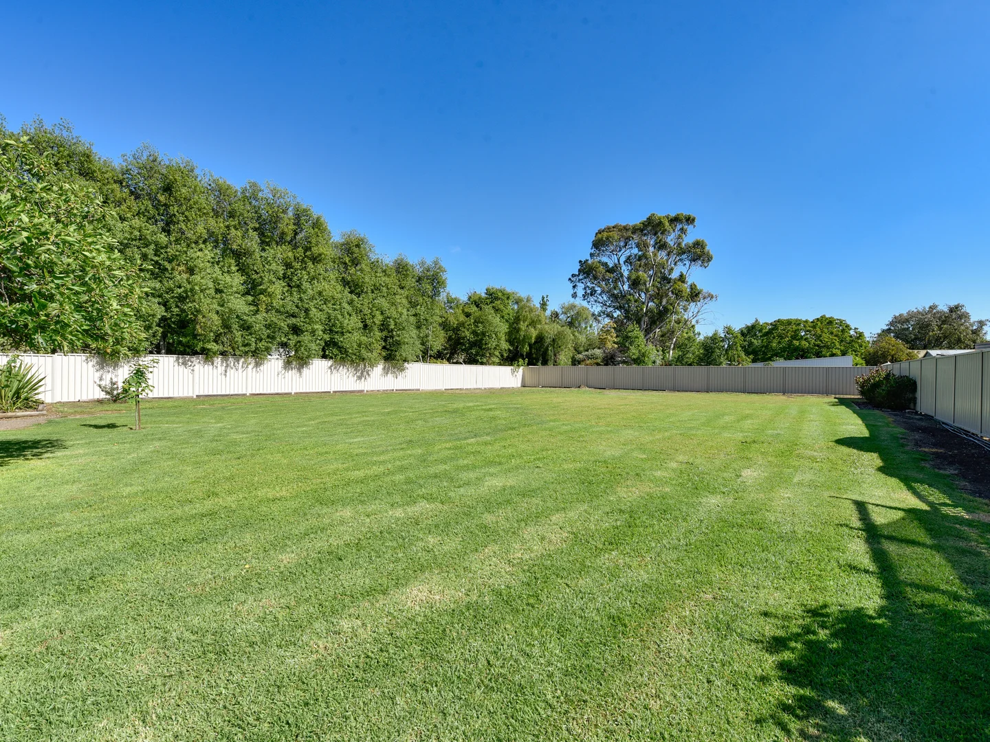 Additional image 15 of 1 Riddoch, Penola SA 5277