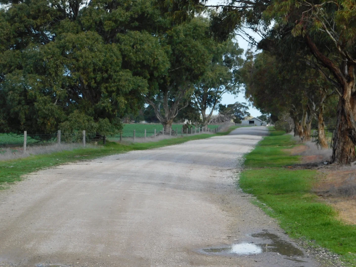 Additional image 22 of 16472 Dukes Hwy, Bordertown SA 5268