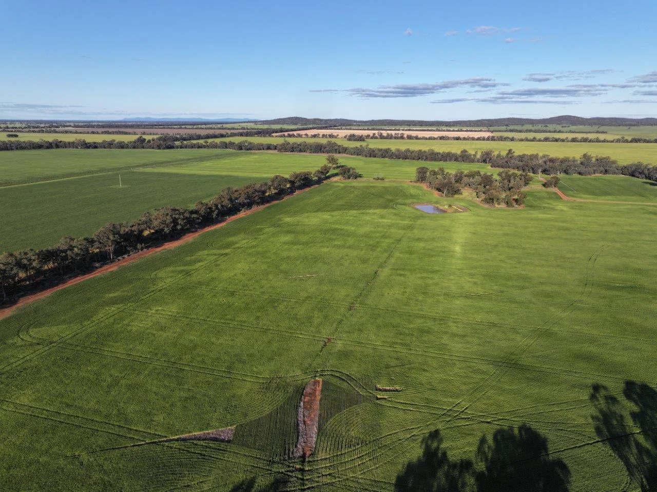 Additional image 10 of Part Westbury Goldfields Way, Barmedman NSW 2668