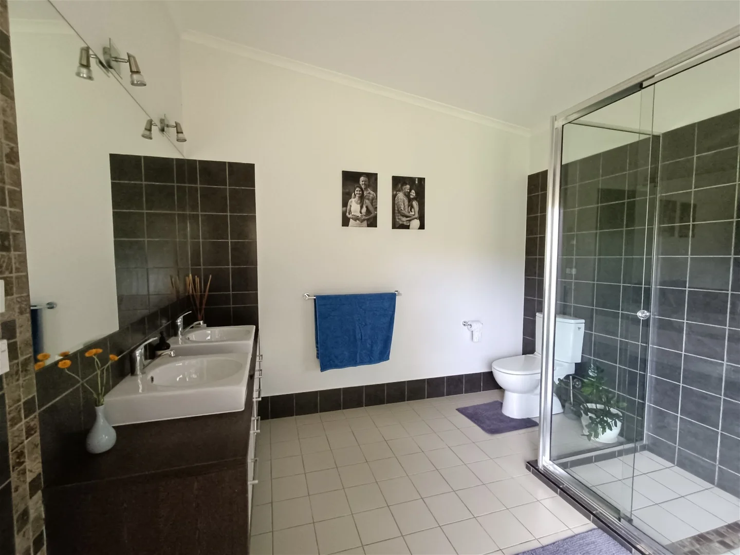 Additional image 10 of Dorrigo NSW 2453