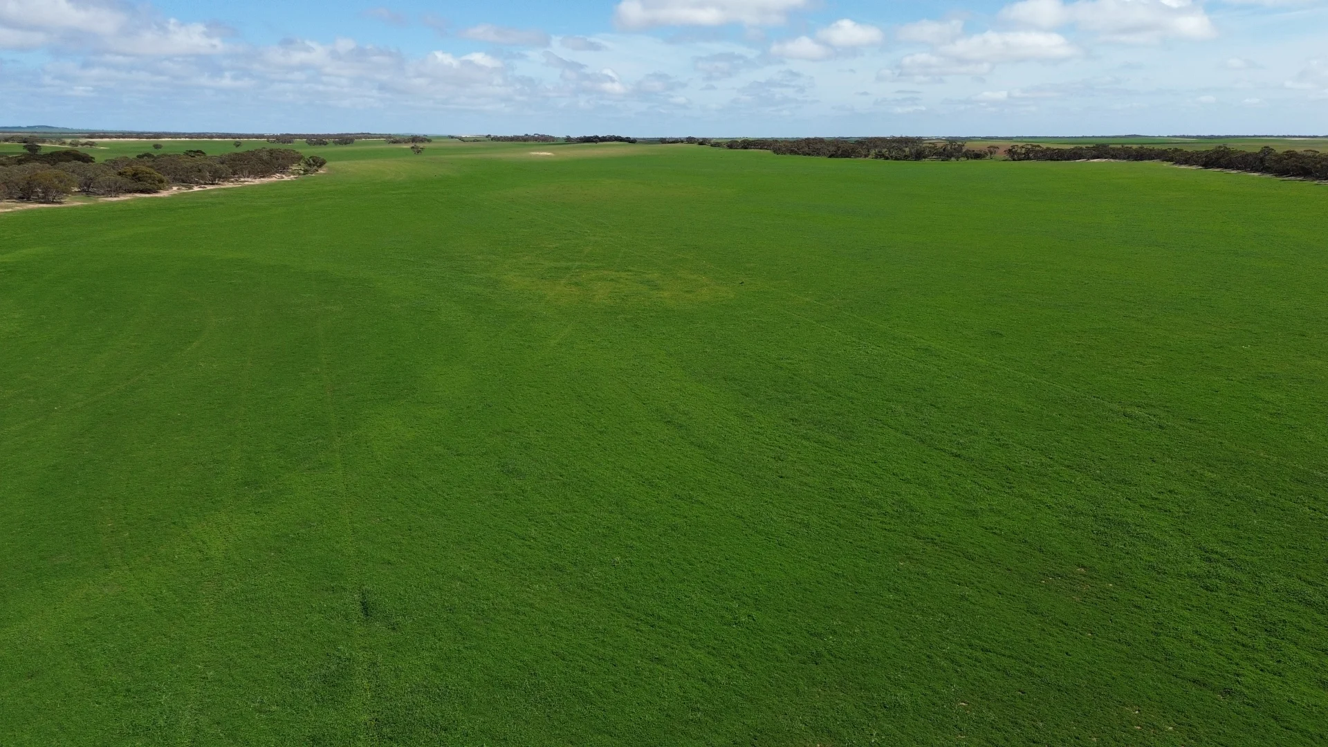 Additional image 3 of Lot 2 Palabie Road, Wudinna SA 5652