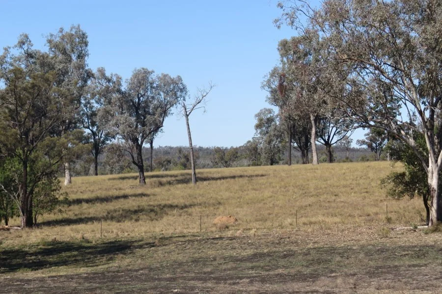 Additional image 8 of 329 Pickfords Road, Yetman NSW 2410