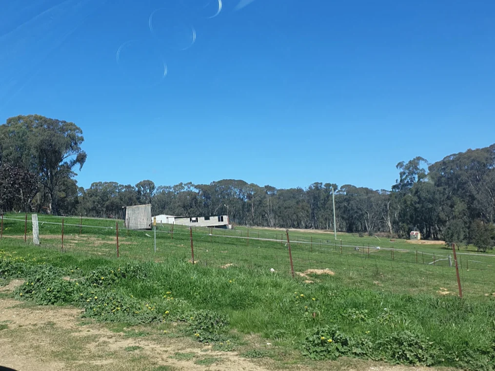 81 Lindsay Street, Hargraves NSW 2850