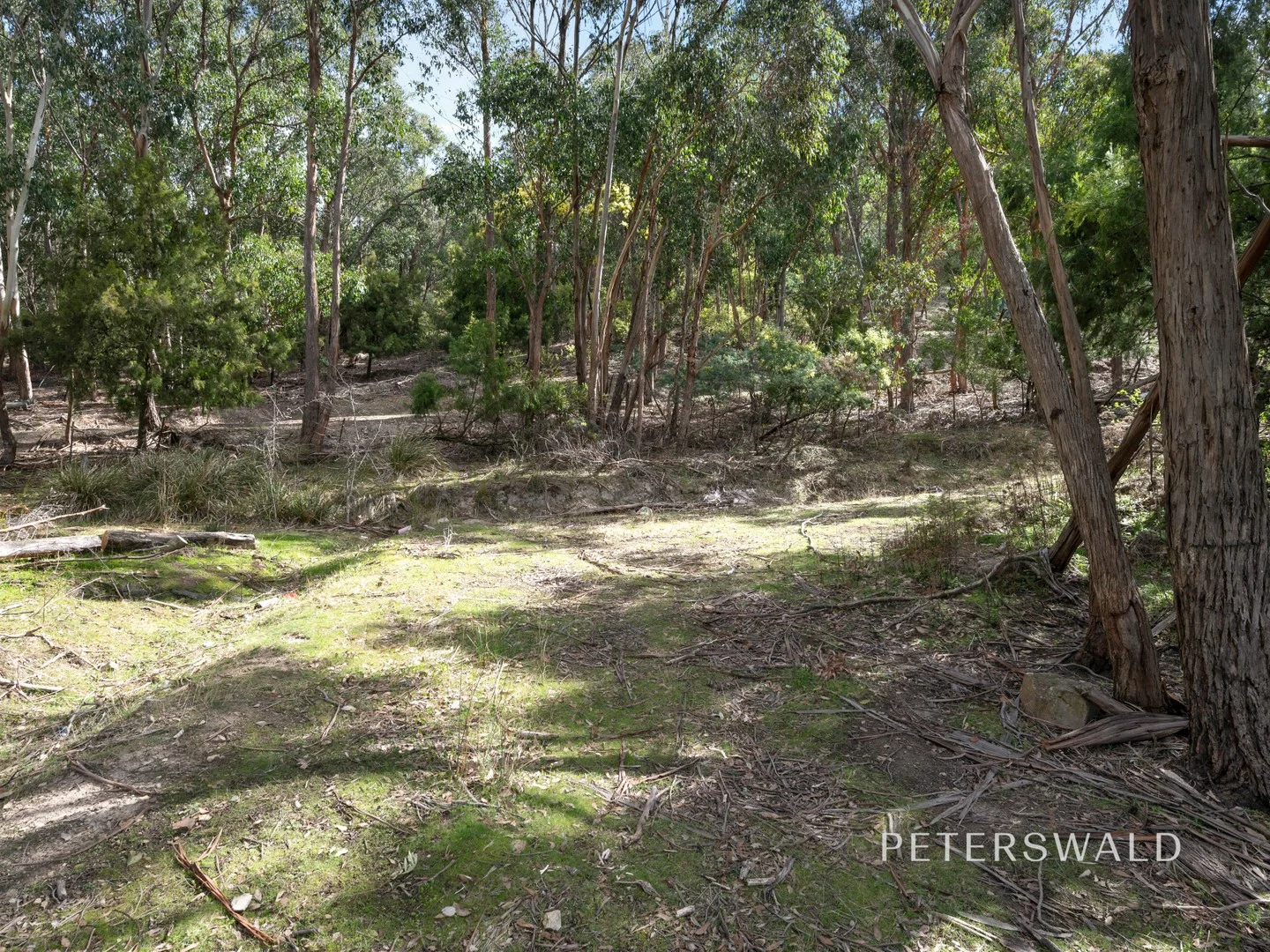 23 Lowrie Place, Glenorchy TAS 7010