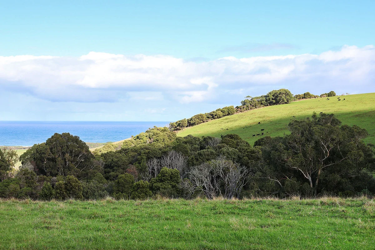 Additional image 18 of 105 Stafford Road, Johanna VIC 3238