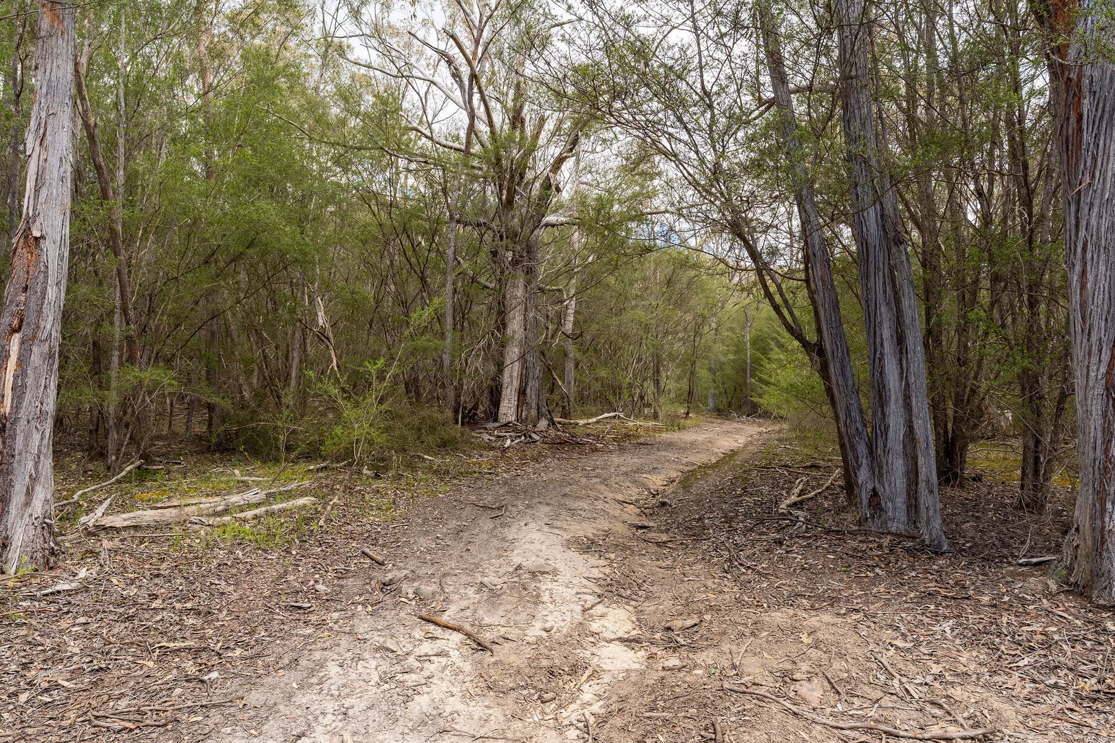 Additional image 11 of 368 Rubicon Road, Rubicon VIC 3712