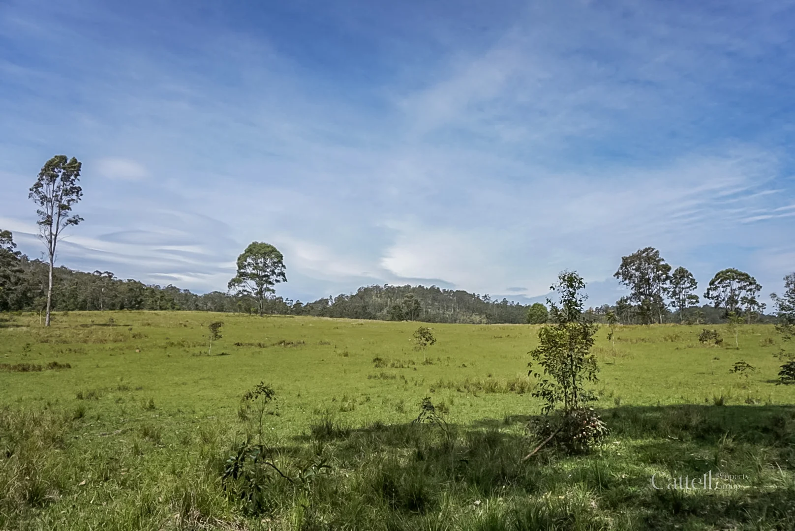 Additional image 34 of 60 Blue Bonnett Road, Lambs Valley NSW 2335