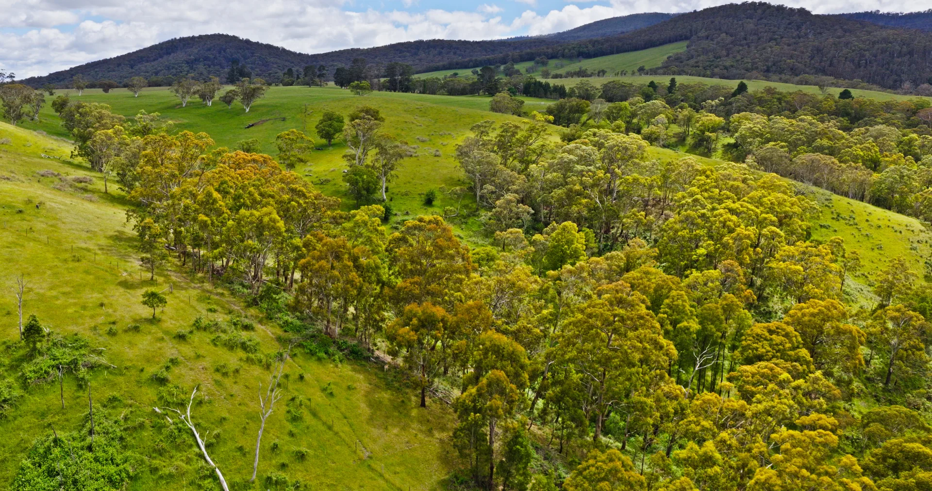 Additional image 23 of Lot 3 - 289 Tongio Gap Road, Tongio VIC 3896