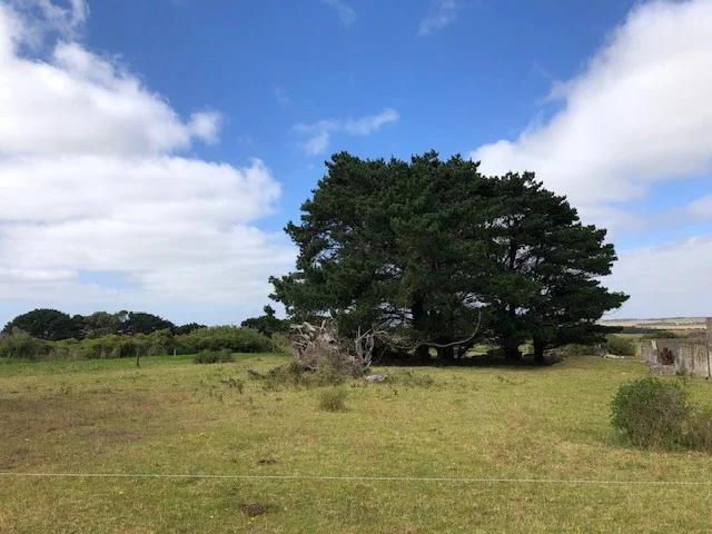 Additional image 11 of 2900 North Road, Yambacoona TAS 7256