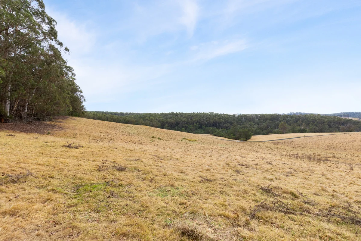 Additional image 6 of 17 Eucalyptus Lane, Lochiel NSW 2549