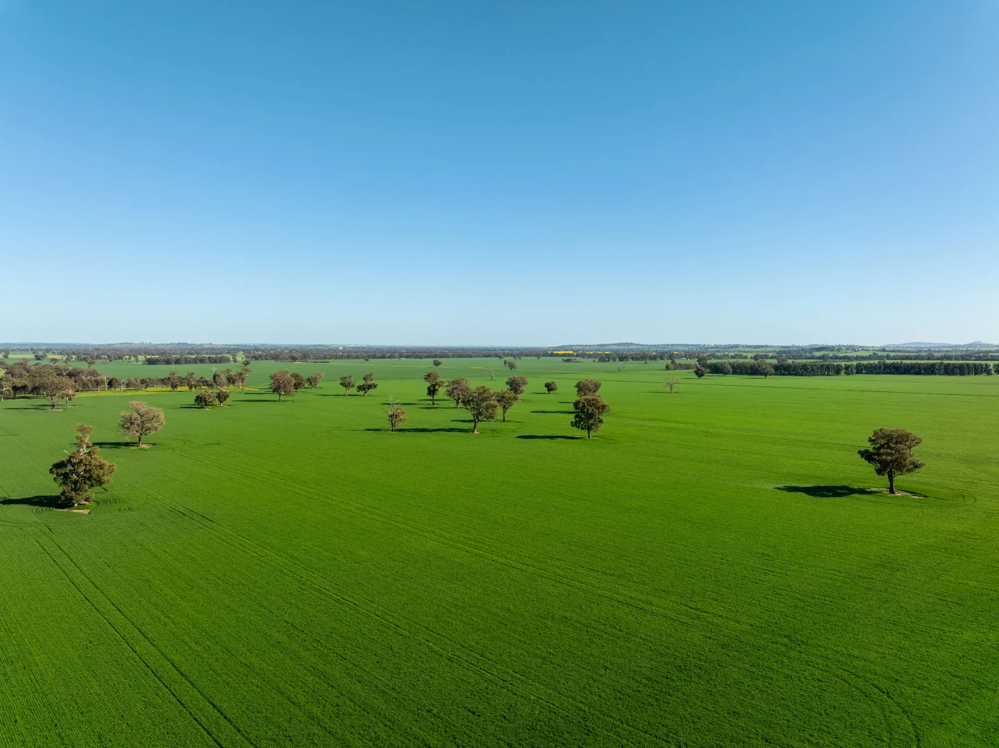 Additional image 2 of 484 Merri Meric Road, Henty NSW 2658