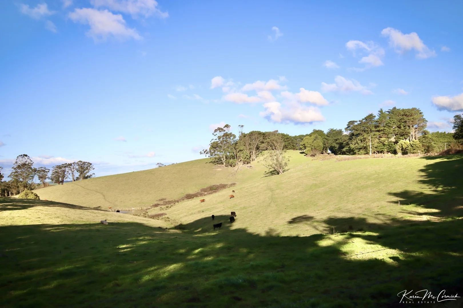 Additional image 15 of 200 Wonga Square Top Road, Wonga VIC 3960