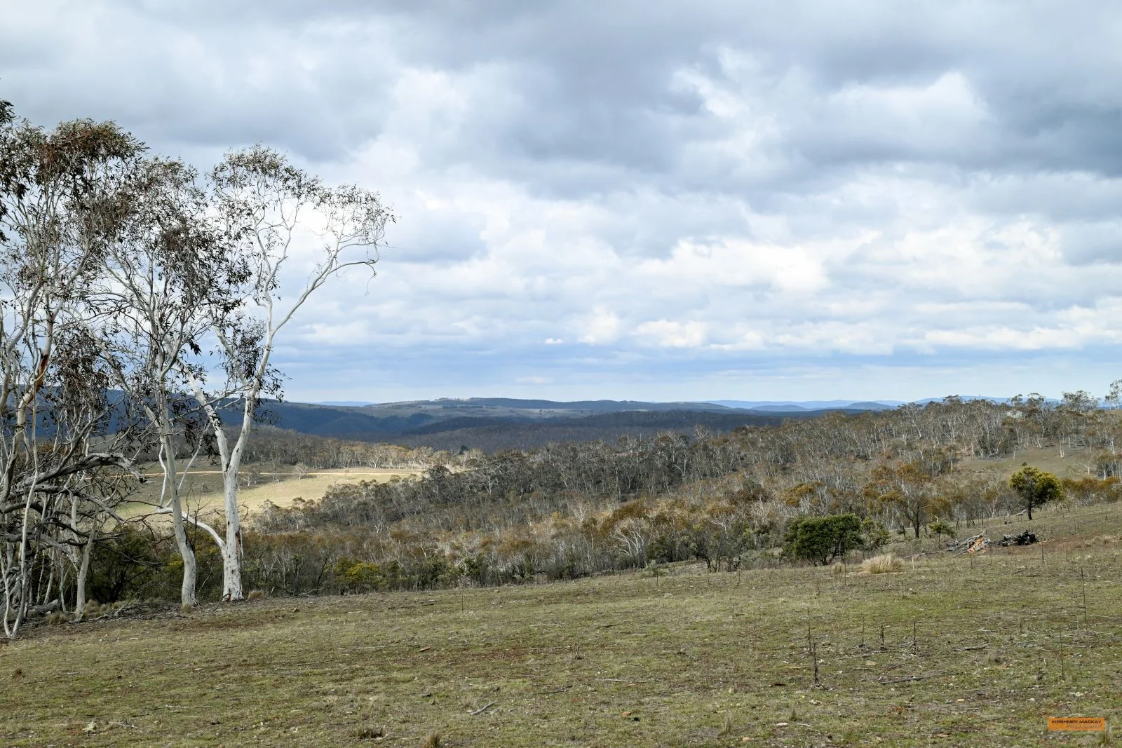 Additional image 24 of "Eagle Heights" 636 Caddigat Road, Dry Plain NSW 2630