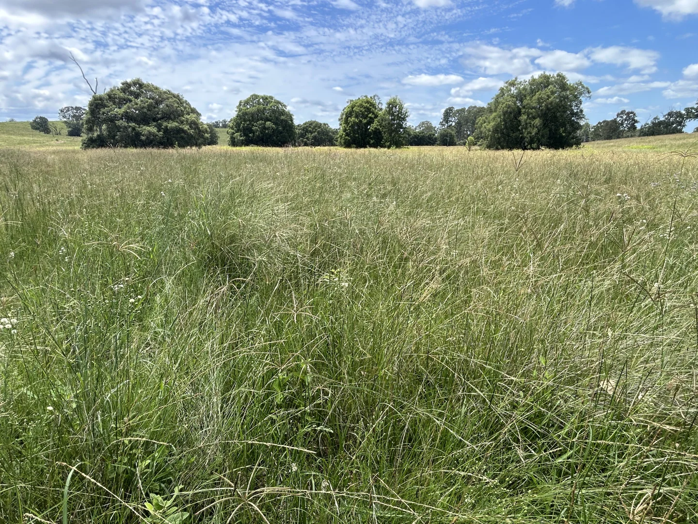 Additional image 15 of 789 Coppin Rd, Monto QLD 4630