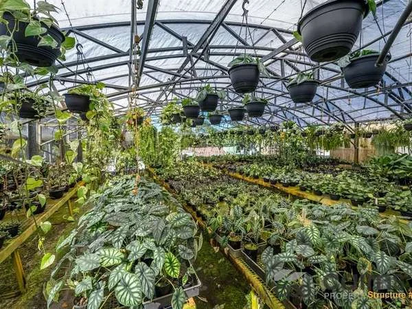 Additional image 19 of 15 Ross Road, Deeral QLD 4871