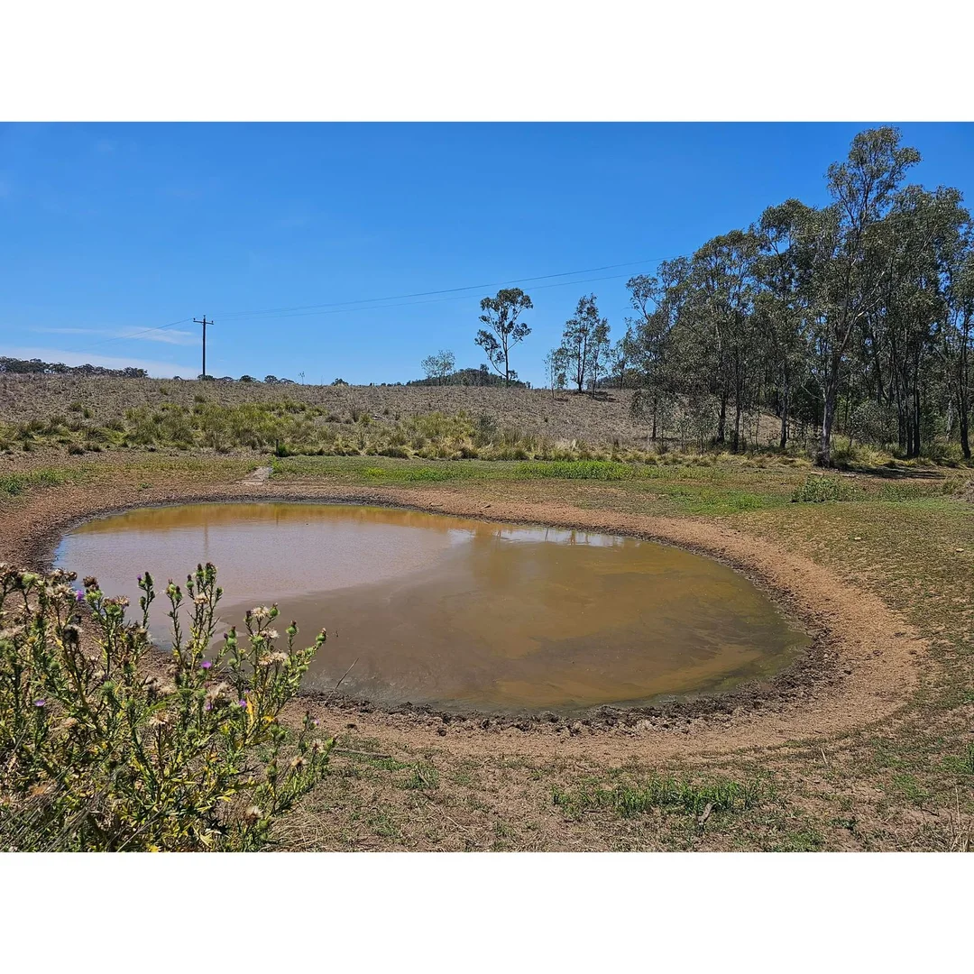 Additional image 20 of Baerami NSW 2333