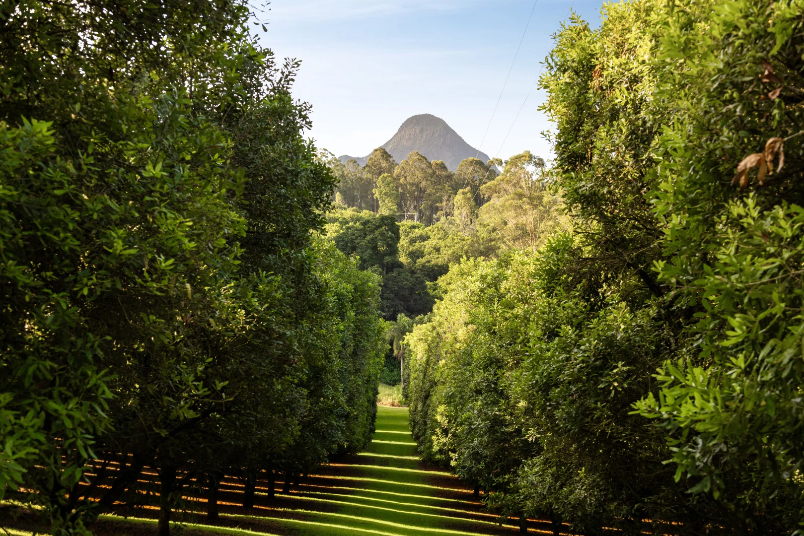 Additional image 26 of 29 Woodrows Road, Glass House Mountains QLD 4518