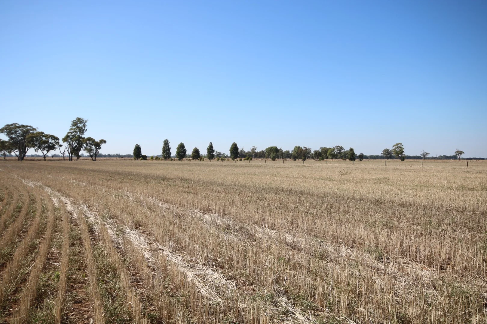 Additional image 2 of 1670 Whinfield Road, Kotta VIC 3565