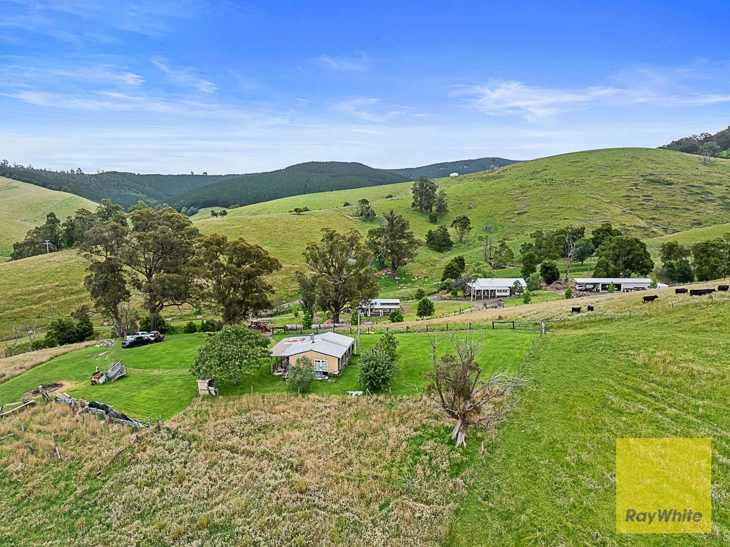 Additional image 24 of 127 Widdons Rd, Devon North VIC 3971