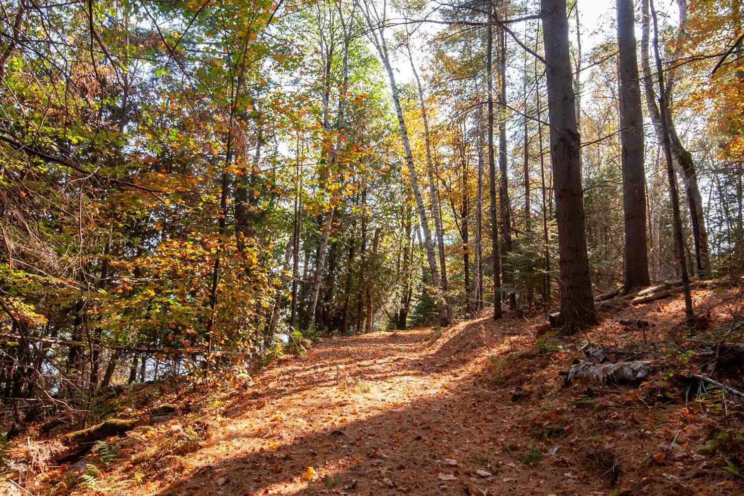 Additional image 9 of 1061 South Shore Road