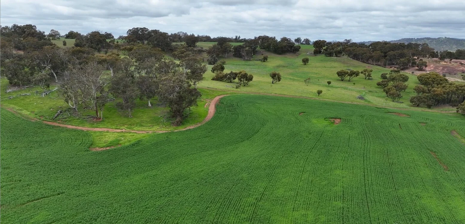 Additional image 5 of 142 Dumbarton Rd, Dumbarton WA 6566