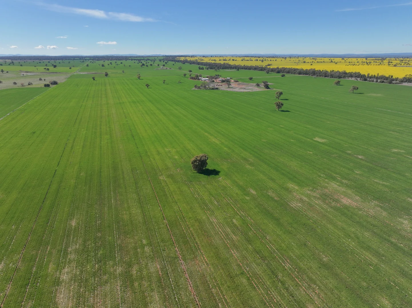 Additional image 18 of 2666 Henry Parkes Way, Gunningbland NSW 2876