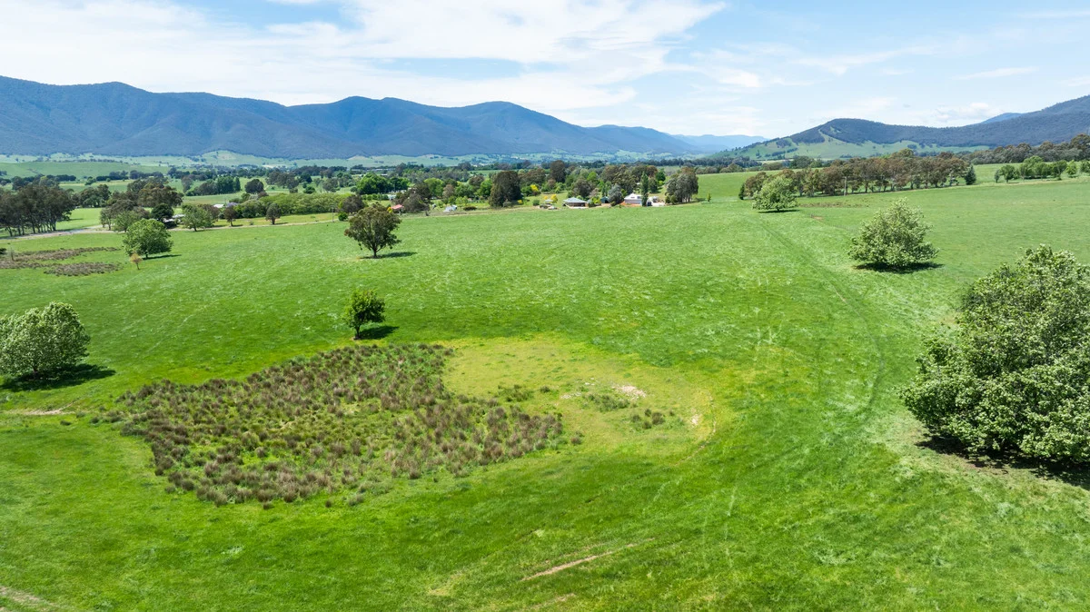 Additional image 21 of 4320 Kiewa Valley Highway, Dederang VIC 3691