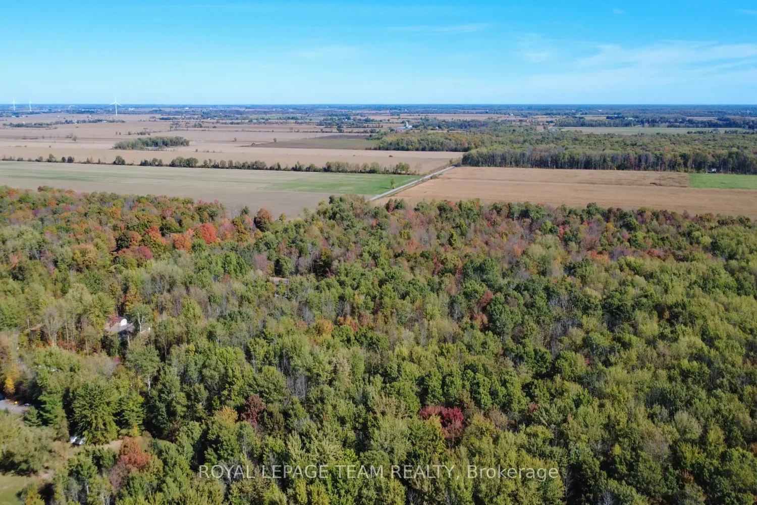 Additional image 9 of 10586 Seibert Road