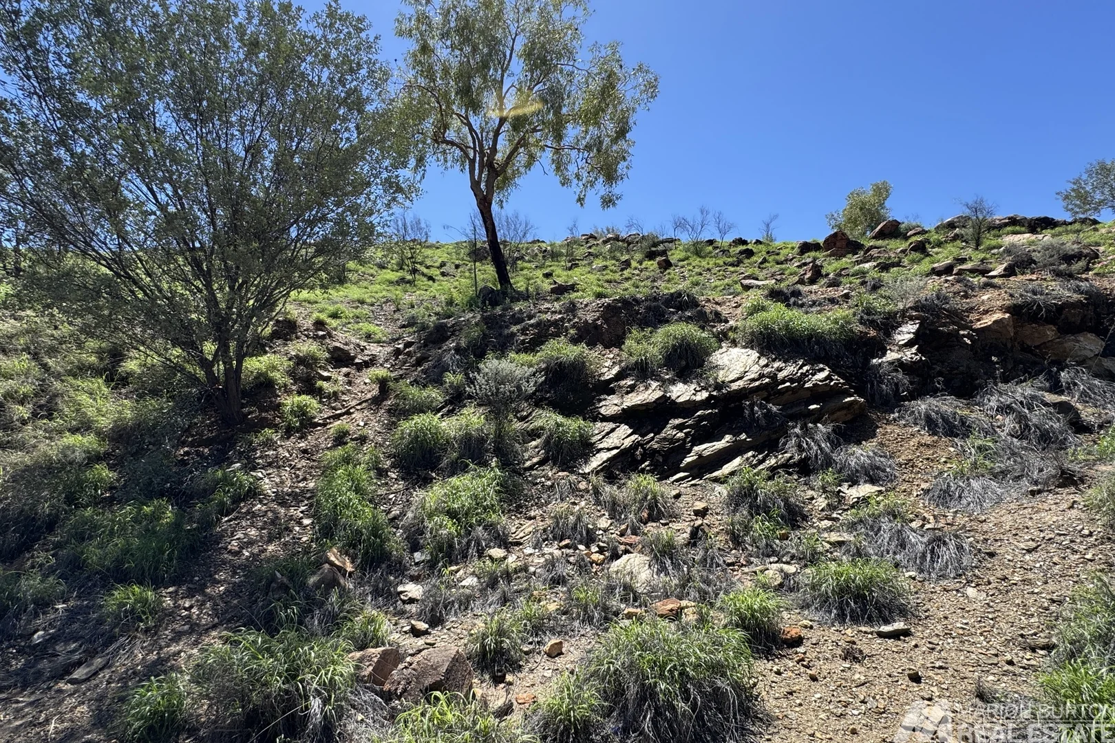 Additional image 8 of 23 Gilbert Place, Larapinta NT 0875