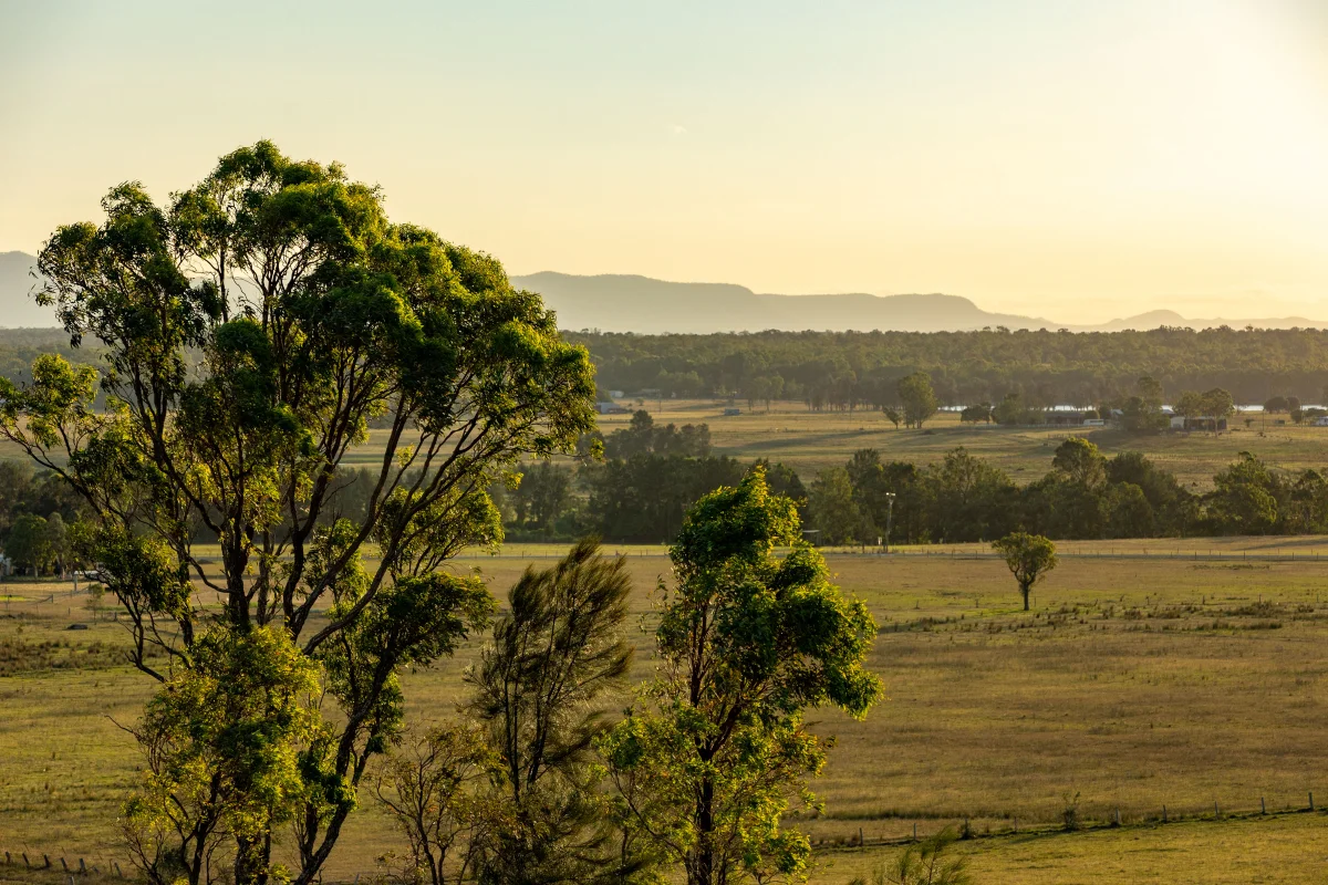 Additional image 24 of 880D Elderslie Road, Elderslie NSW 2335