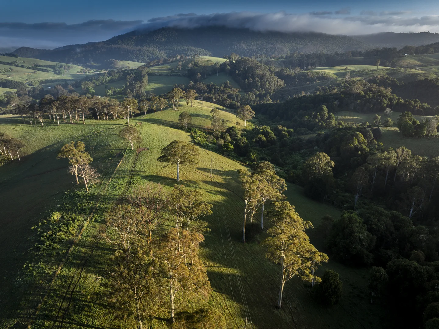 Additional image 6 of 294 Coramba Road, Dorrigo NSW 2453