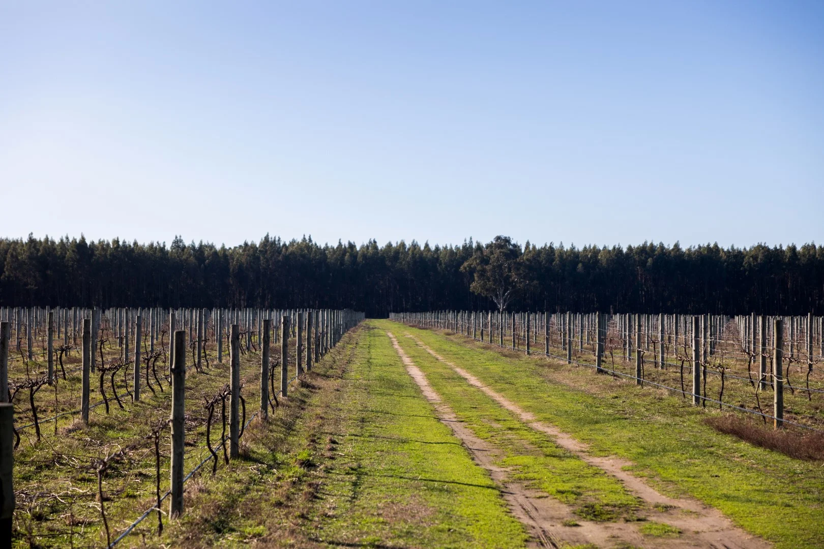 Additional image 6 of 719 Casterton Road, Penola SA 5277