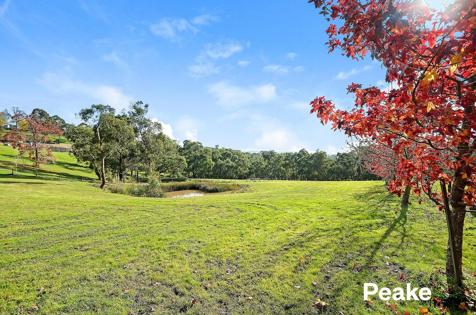 Additional image 10 of 78 Foott Road, Beaconsfield Upper VIC 3808