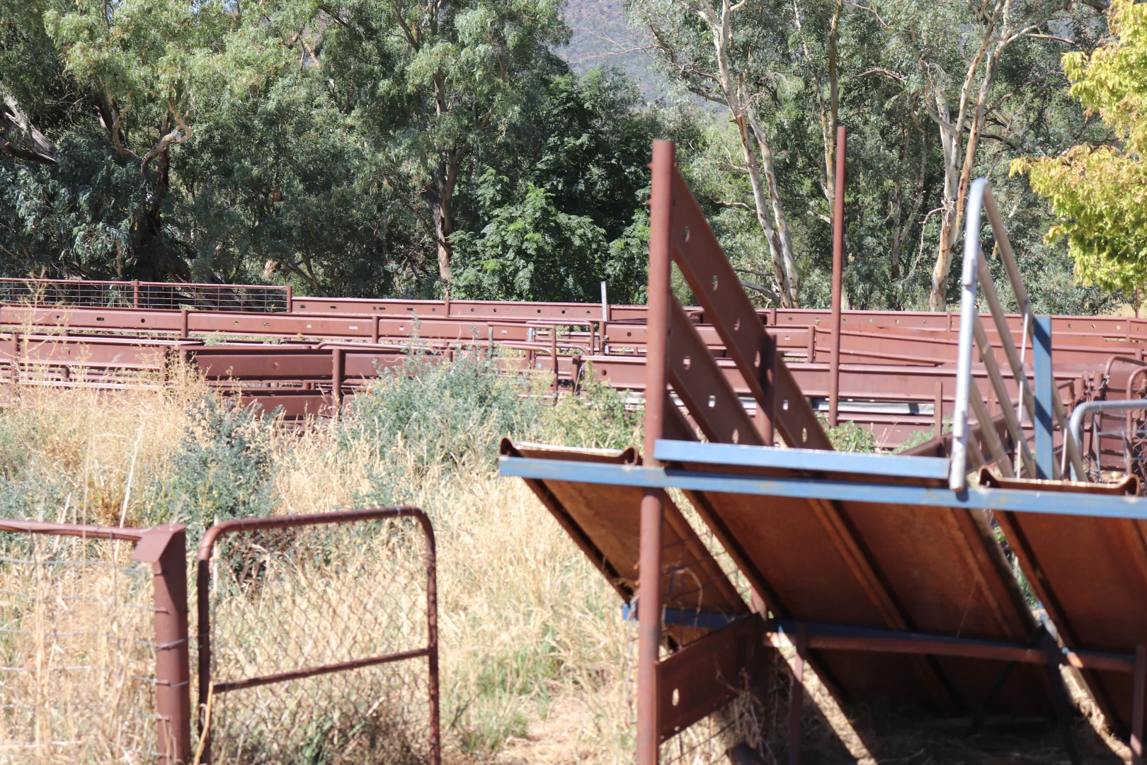 Additional image 3 of 2170 Adelargo Road, Grenfell NSW 2810