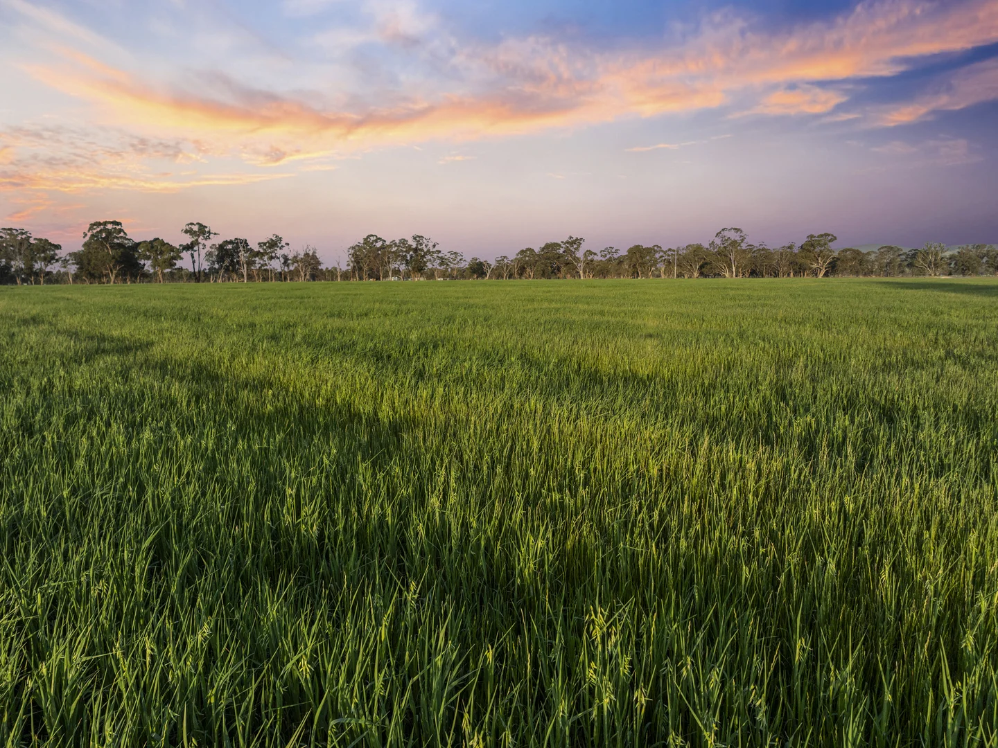 Additional image 30 of 290 Riggs Creek Road, Balmattum via, Euroa VIC 3666