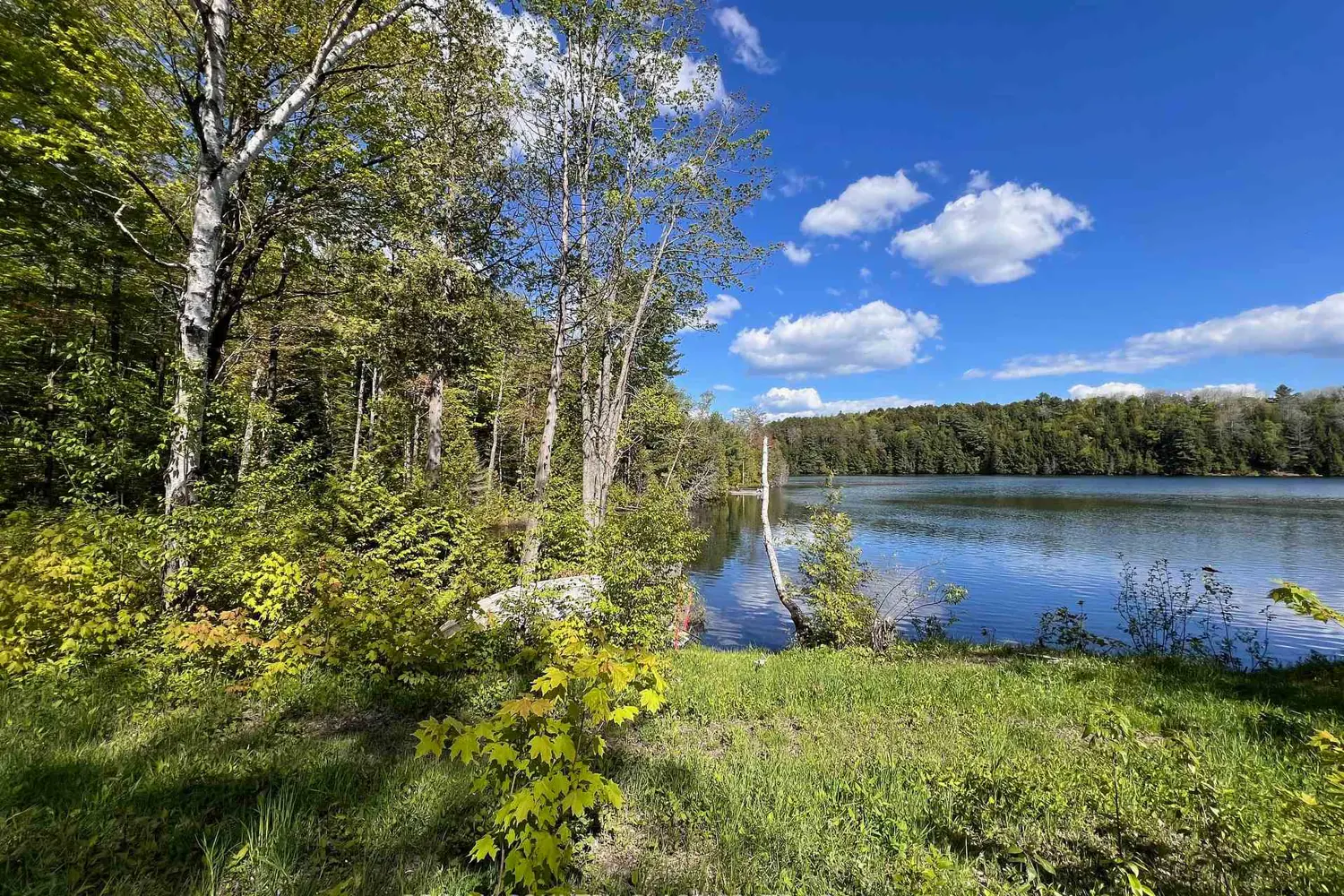 Additional image 19 of 164 Trout Lake Road