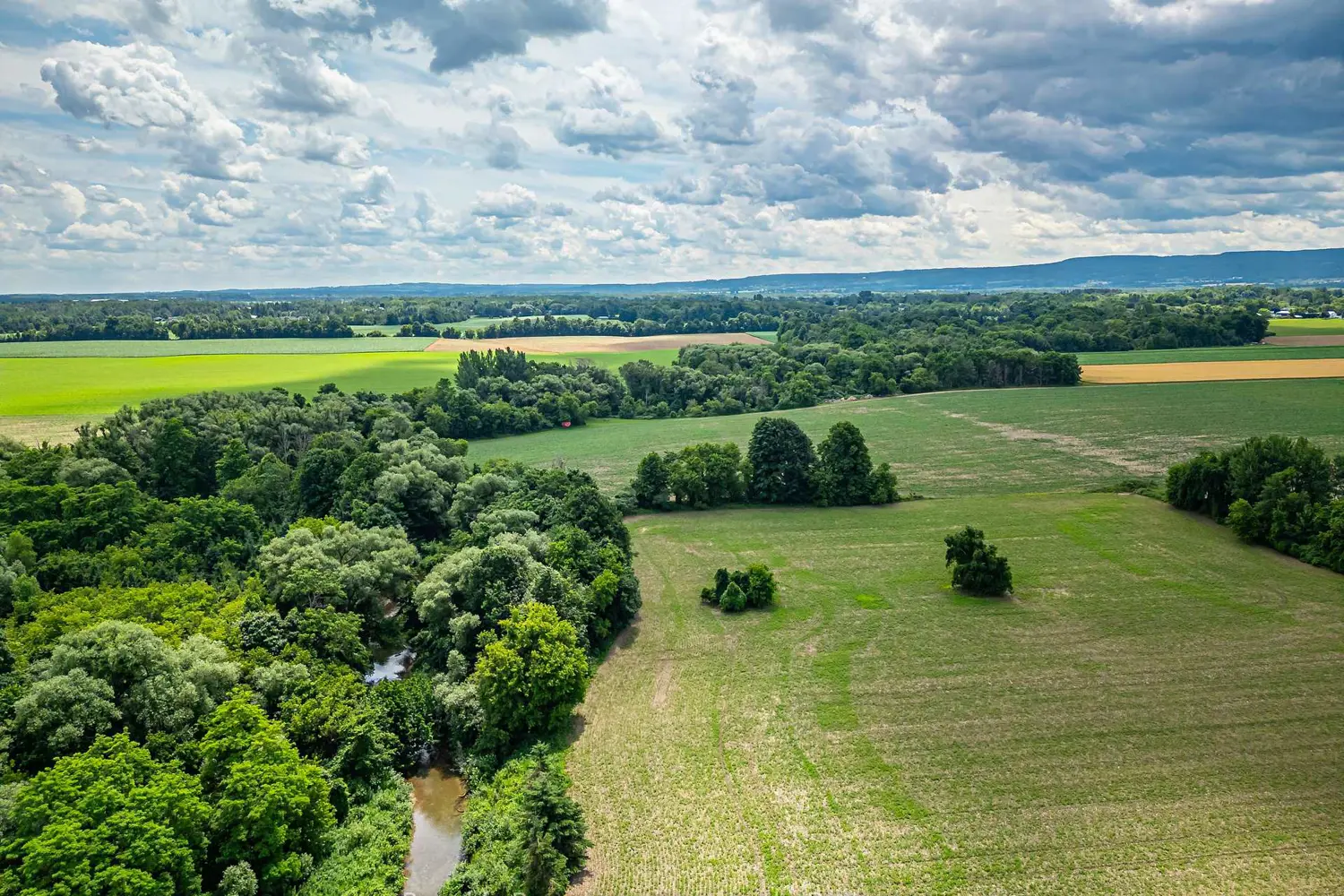 Additional image 17 of 7475 Poplar Side Road