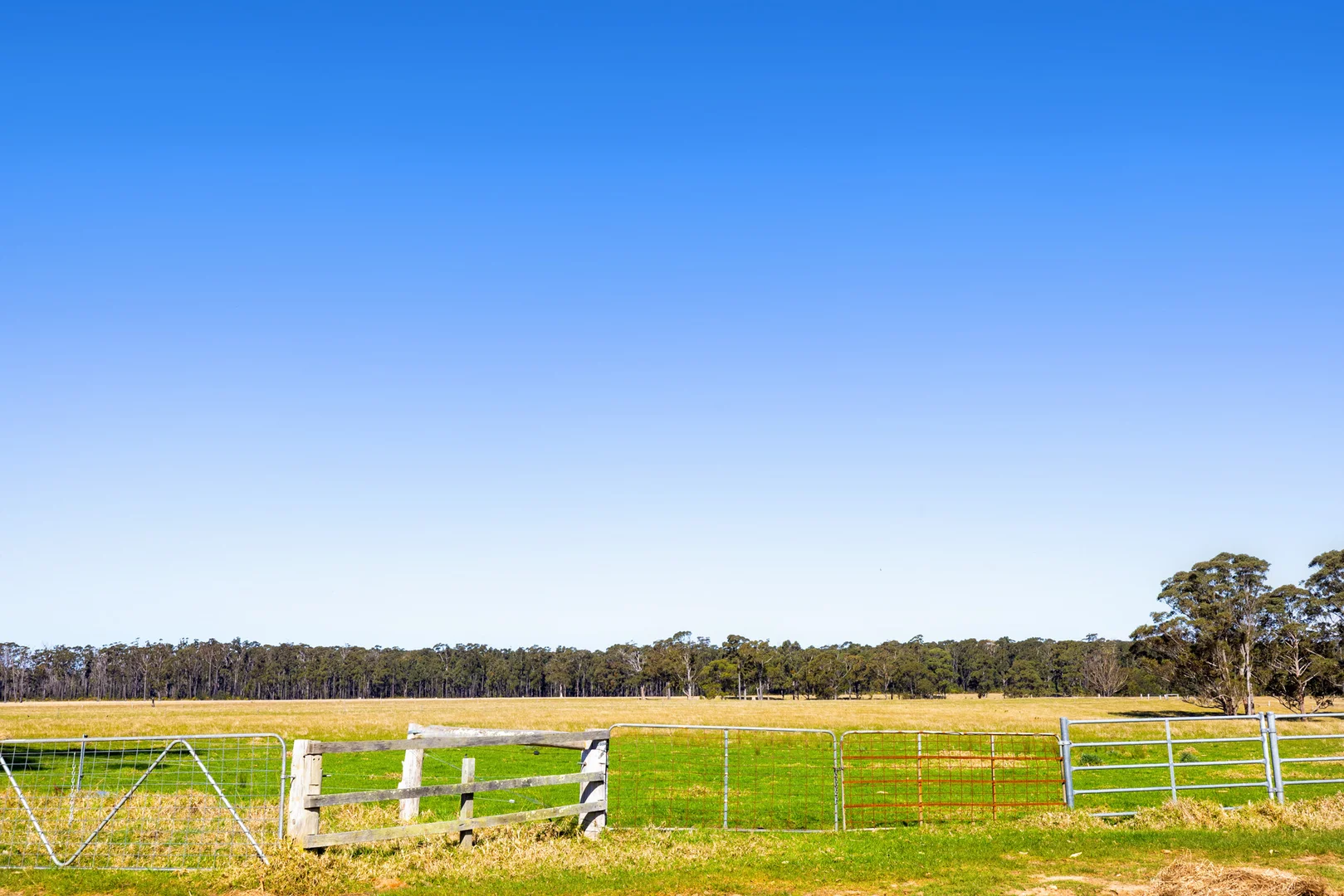 Additional image 51 of 218 Cabbage Tree - Conran Road, Cabbage Tree Creek VIC 3889
