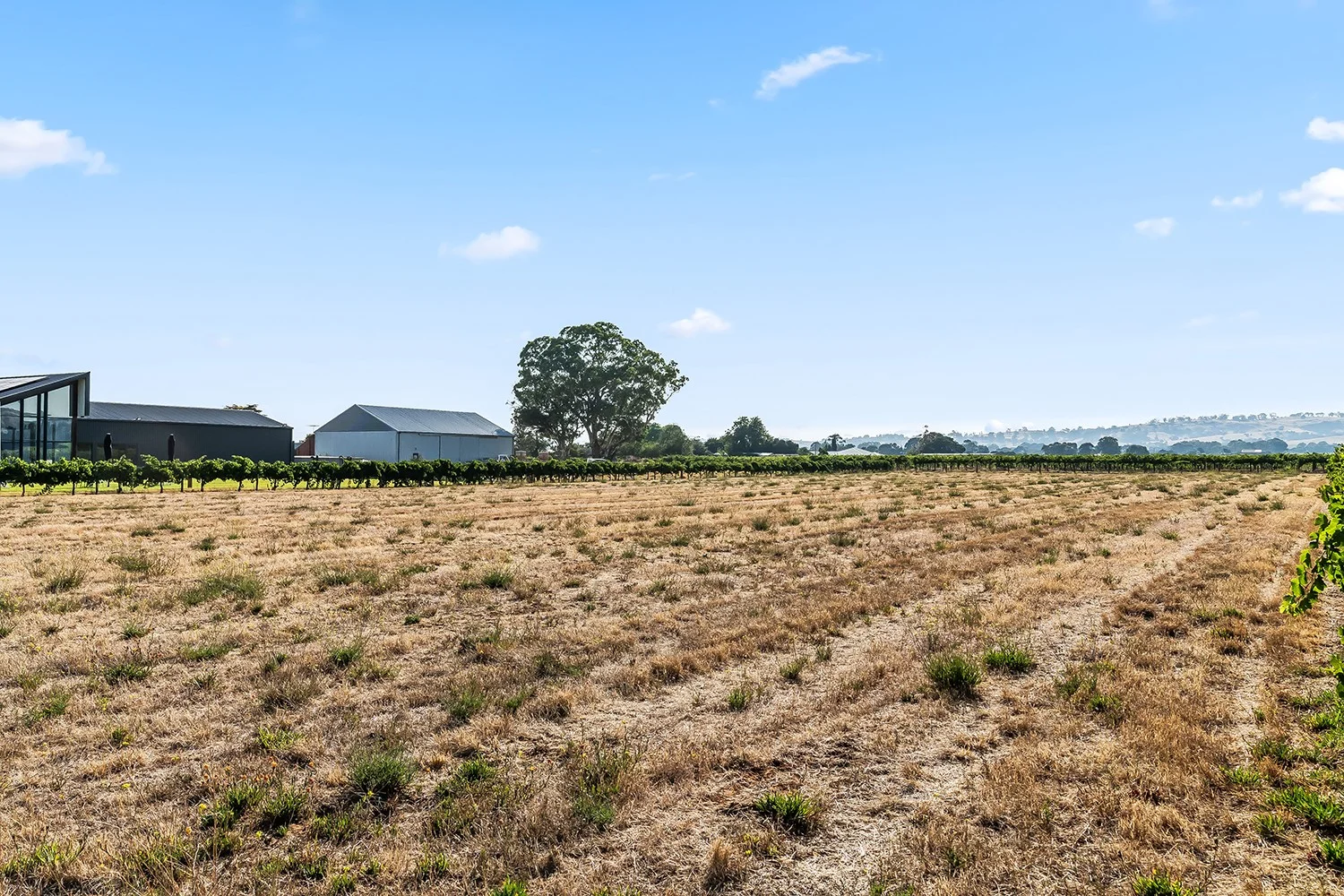 Additional image 18 of 14 Vine Vale Road, Tanunda SA 5352