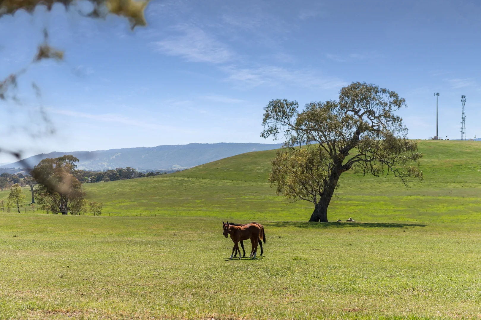 Additional image 10 of 10 Kimberly Drive, Broadford VIC 3658