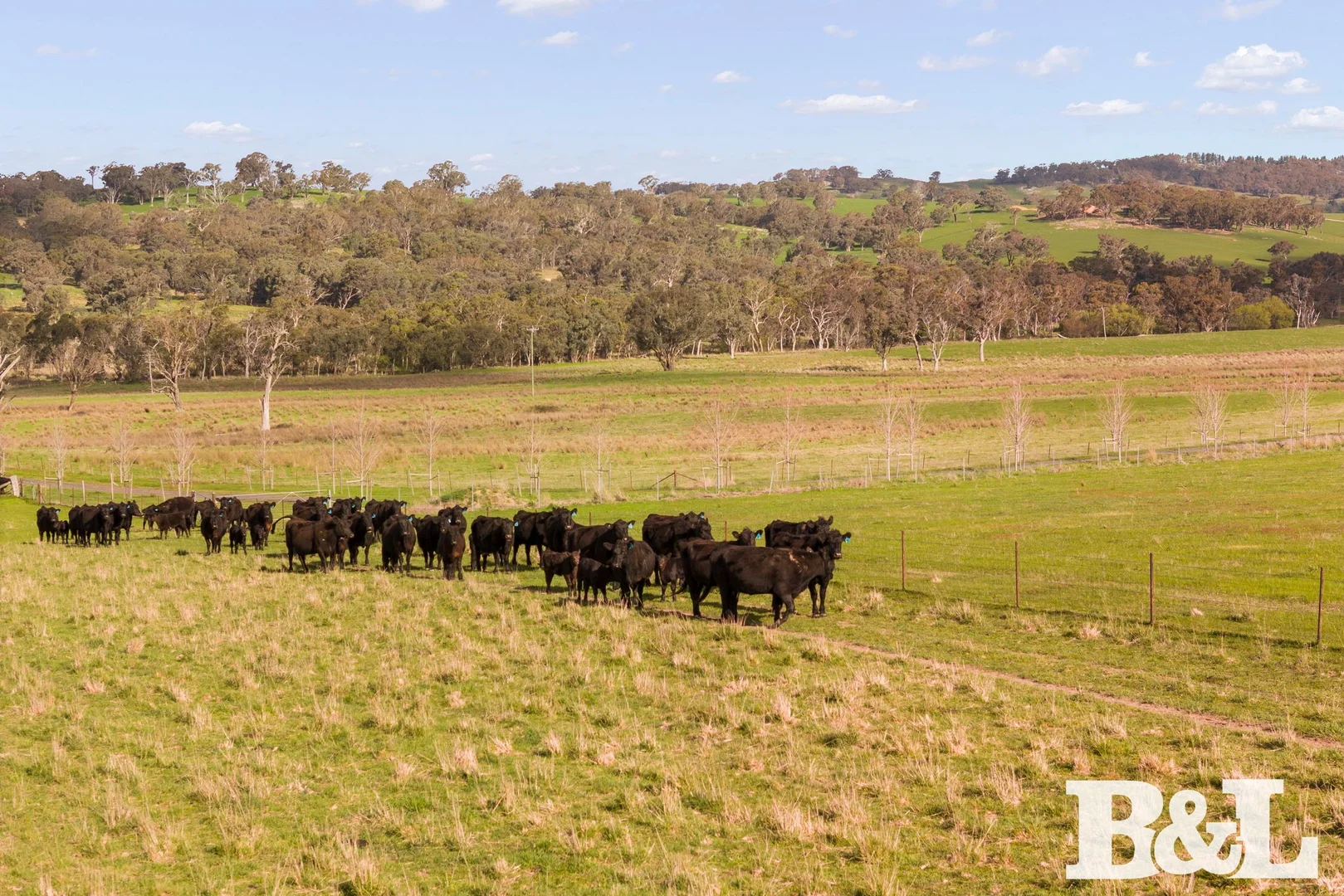 Additional image 33 of 1050 Garland Road, Garland NSW 2797