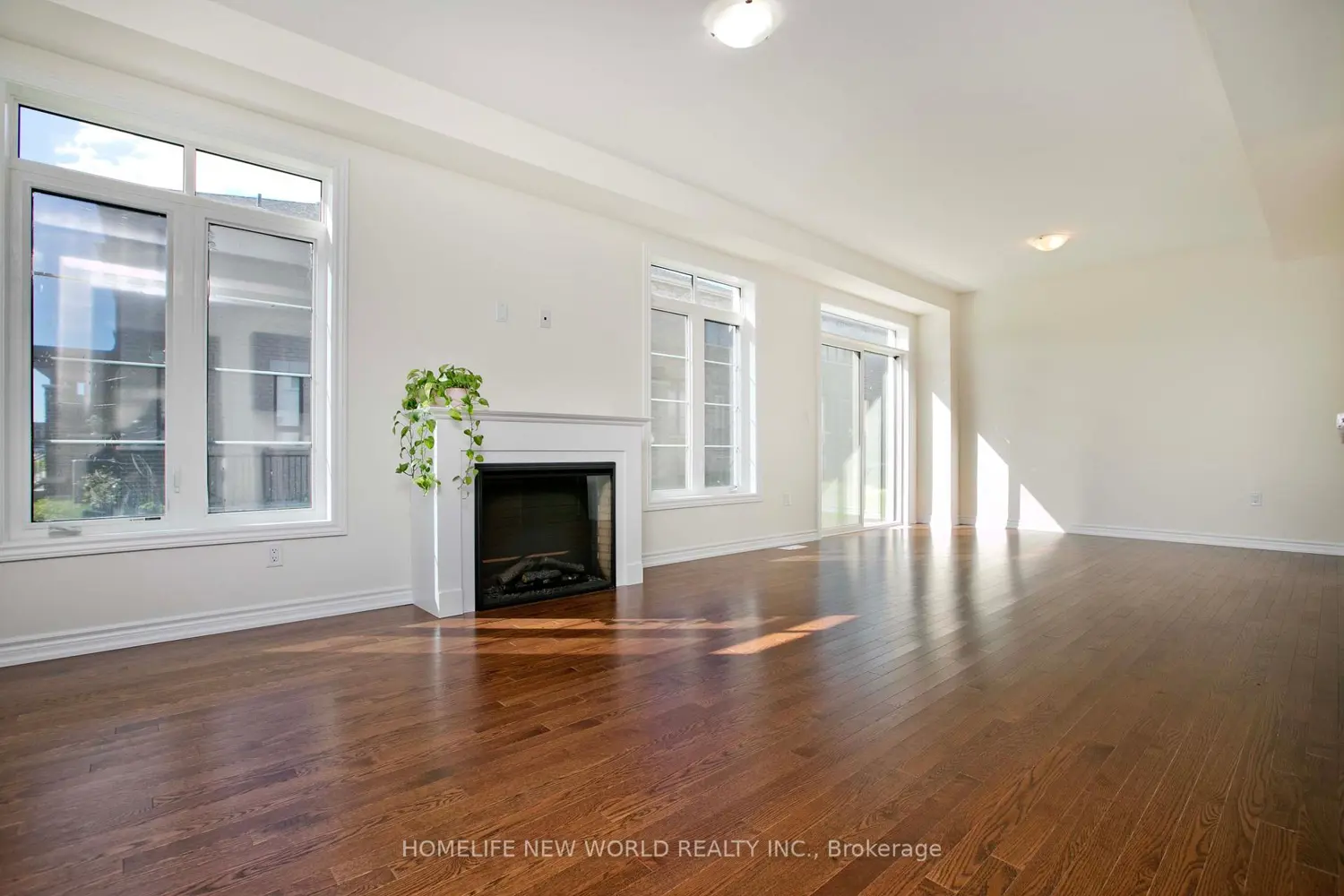 Additional image 2 of 1864 Irish Moss Square