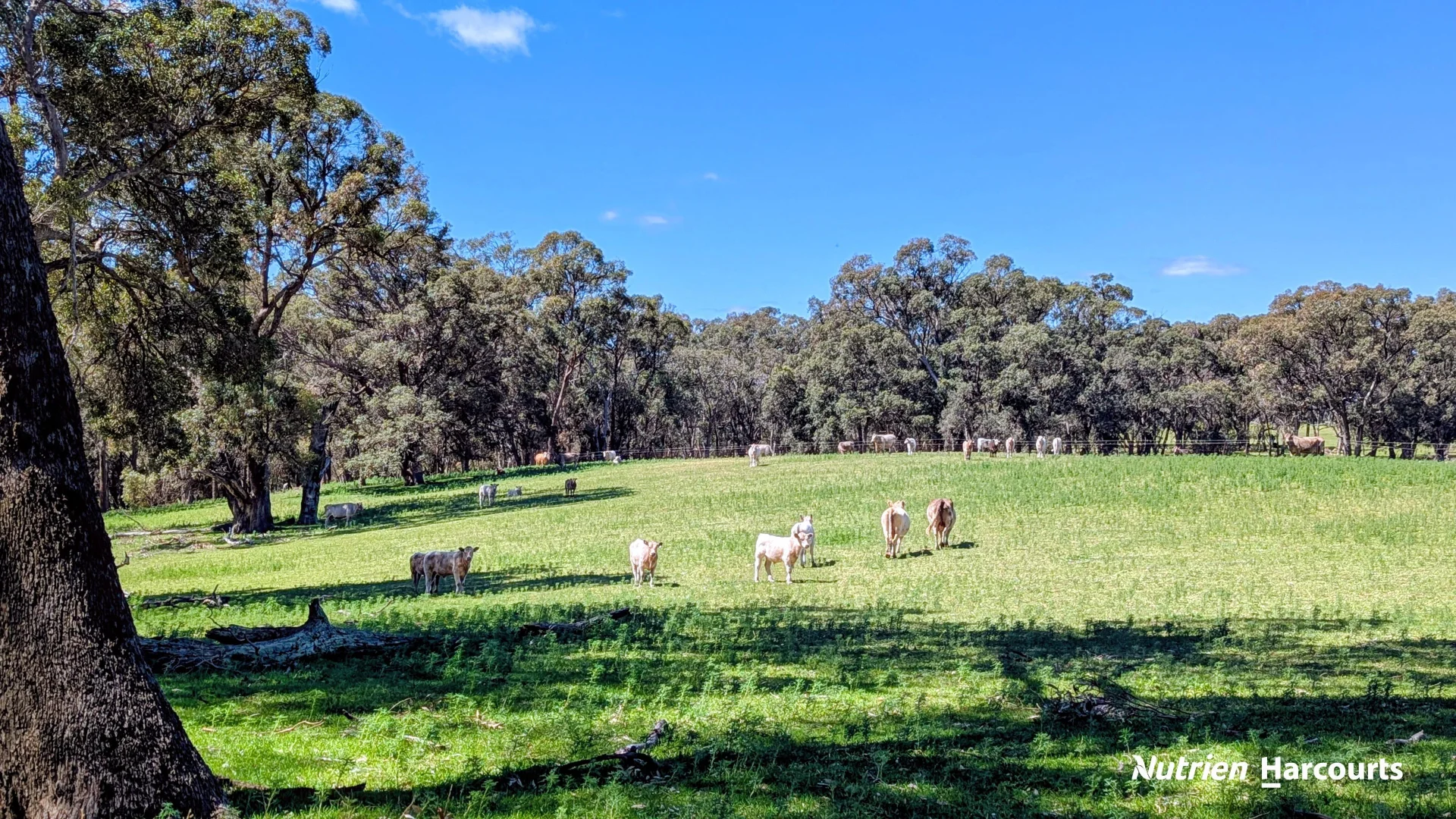 Additional image 28 of Lot 53 Cowalla Road, Cowalla WA 6503