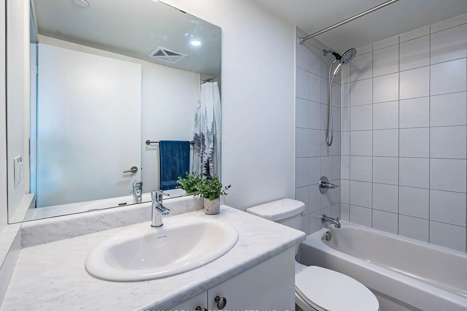 Additional image 16 of 10 Wilby Crescent 802