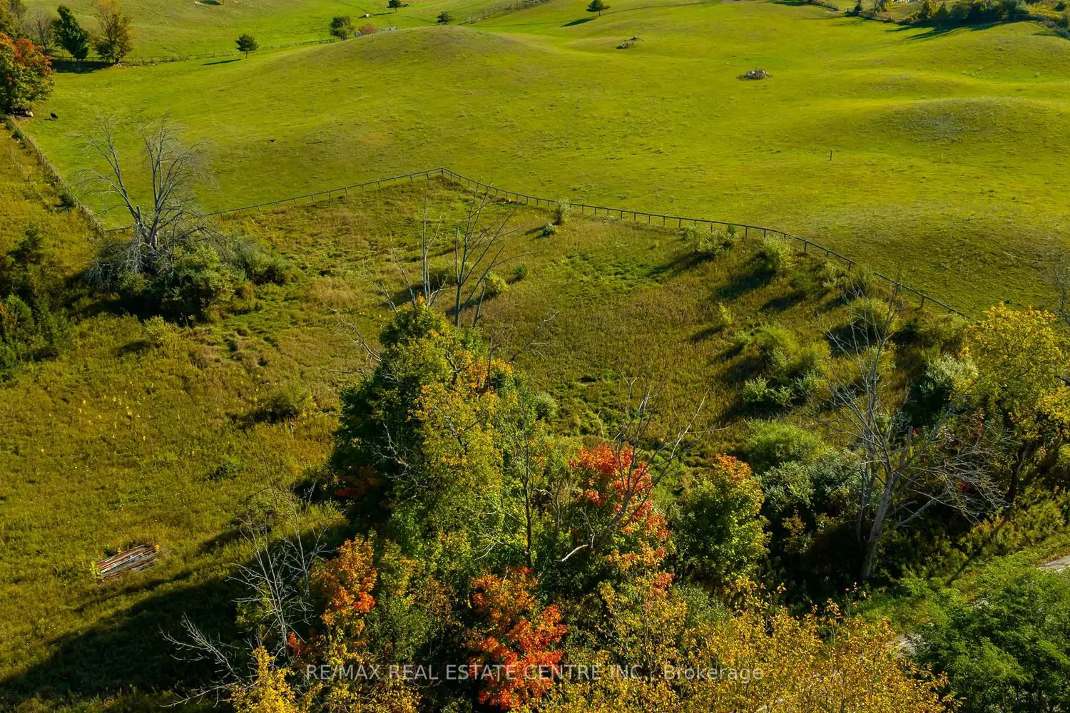 Additional image 20 of 17479 The Gore Road