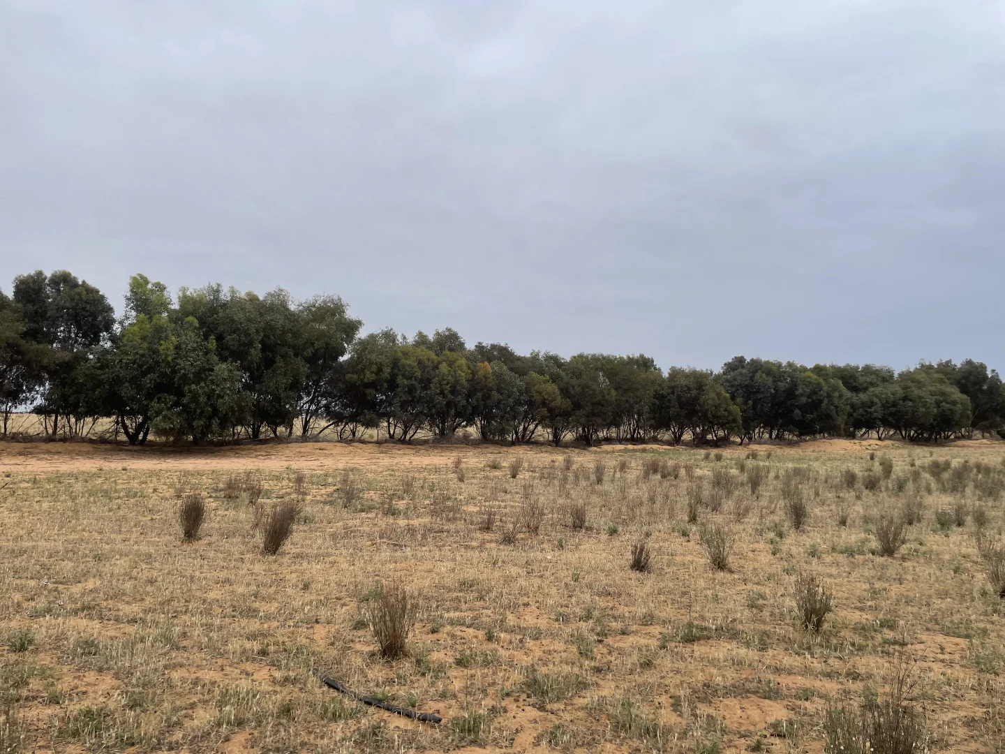 Additional image 11 of 2440 Black Hill Road, Black Hill SA 5353