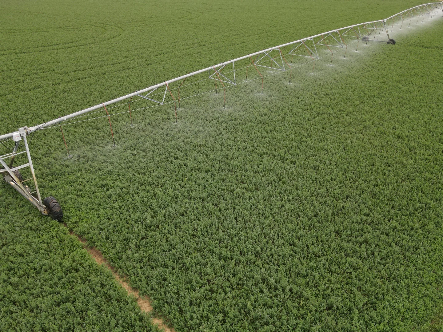 Additional image 14 of 1 Henry Lawson Way, Forbes NSW 2871