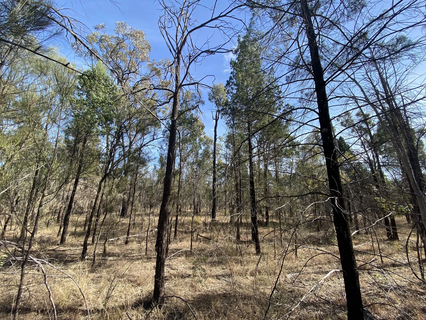 Additional image 17 of Golden Glow Road, Tara QLD 4421