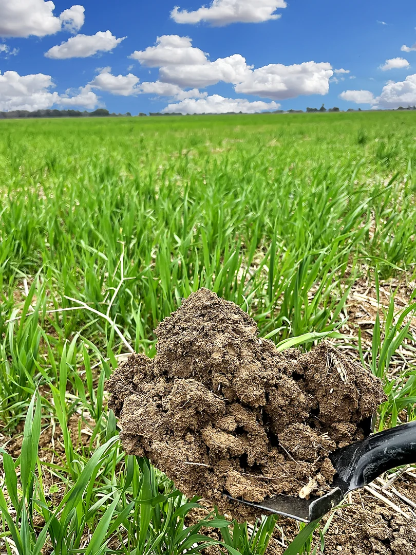 Additional image 23 of 4005 Lachlan Valley Way, Forbes NSW 2871